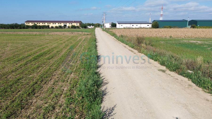 Teren intravilan de vanzare, 66400 mp, langa Oradea, Bihor