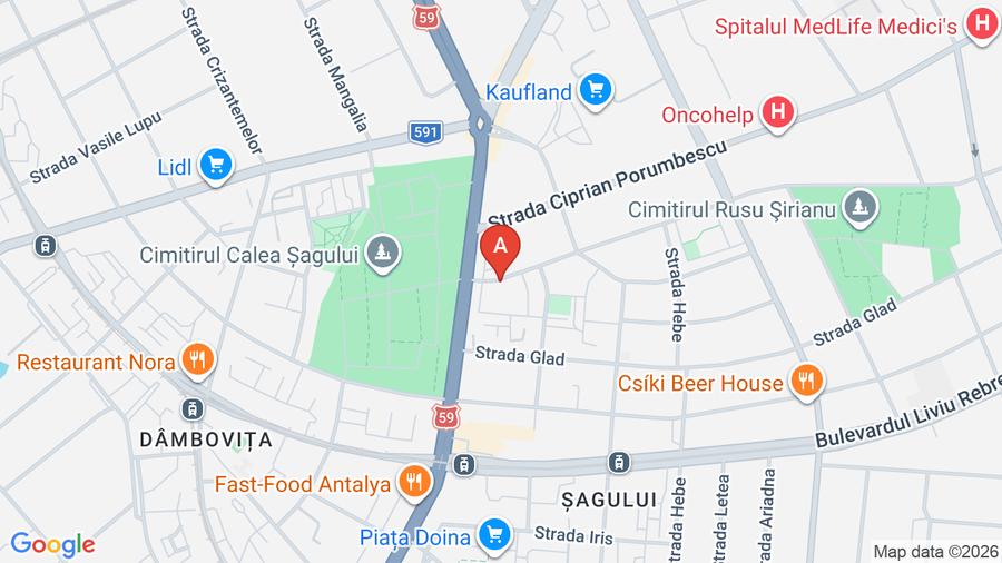 Vinzare casa individuala Sirianu