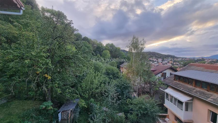 Studio in vila zona Dealul Cetatii - 6