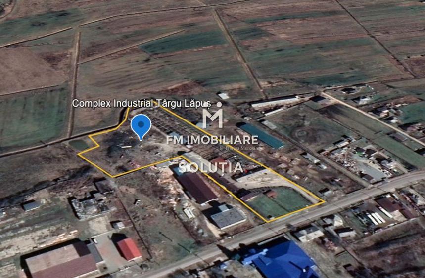 Complex industrial cu teren 18,672 mp Târgu Lăpuș