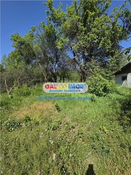 Vindem teren intravilan 3600 mp Calinesti , deschidere 58 m