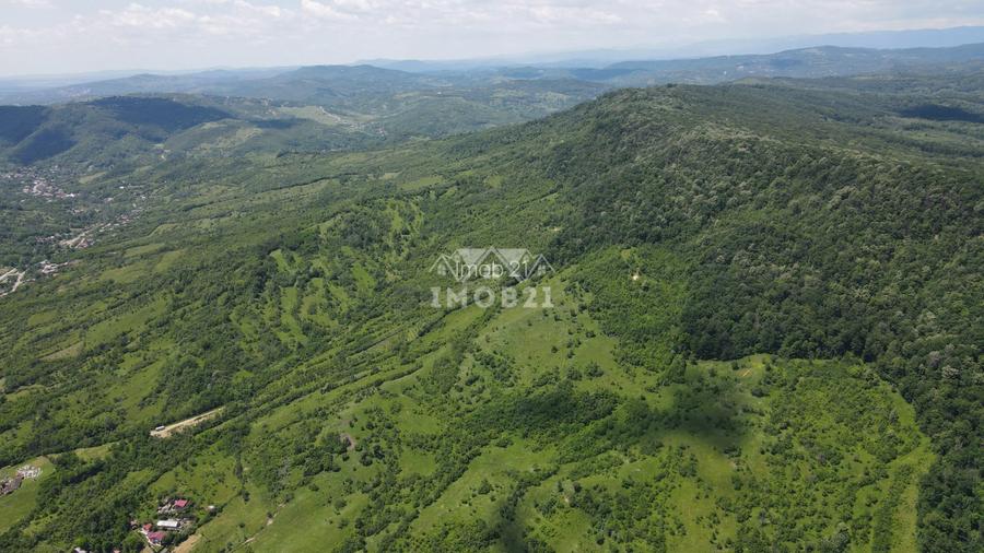 Teren spectaculos cu padure, livada si priveliste panoramica in Soimari PH - 11