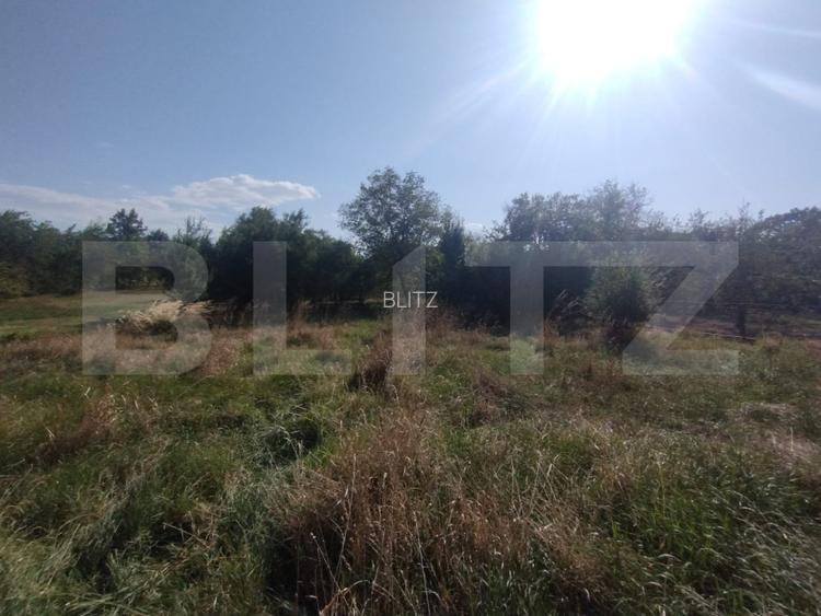 Casa 160mp utili+anexe+teren 67 ari intravilan,10 km distanta de Bistrita