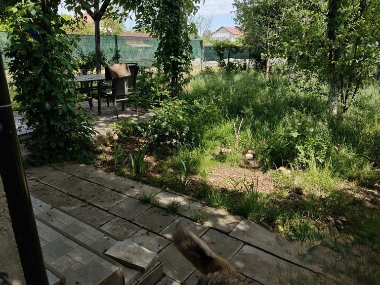 Vilă spațioasă cu grădină Ideală pentru familie