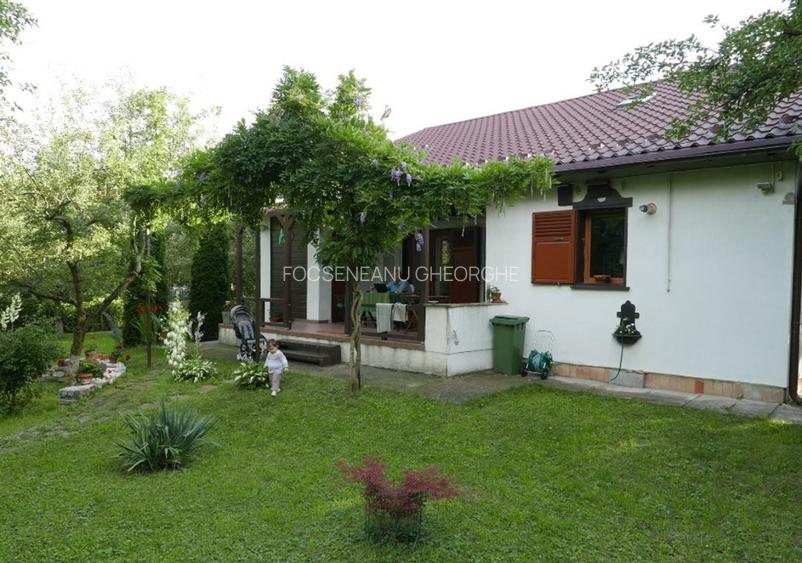 Vila romantica la Breaza - 3