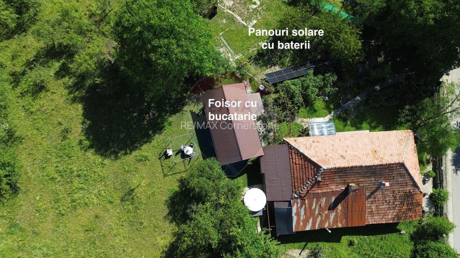 Casă de vânzare in natura la tara - Mihaesti - 4