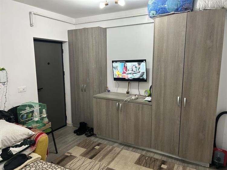 Apartament 1 cameră, Vișan