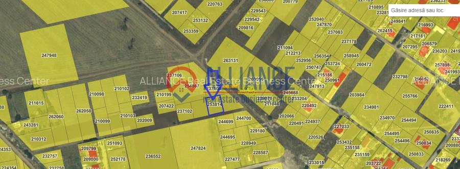 VIILE NOI - Teren în spate la Vila Cucoanei - 3