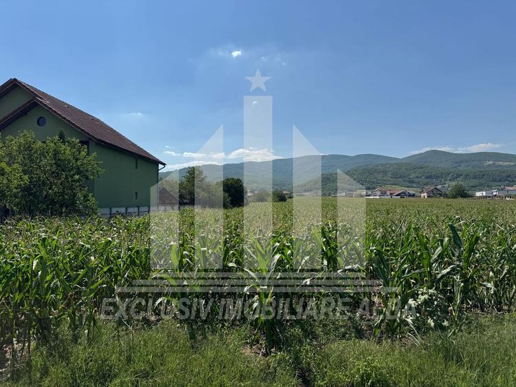 Teren intravilan | Pentru constructie bloc P+3 | 4088 m | Alba-Micesti