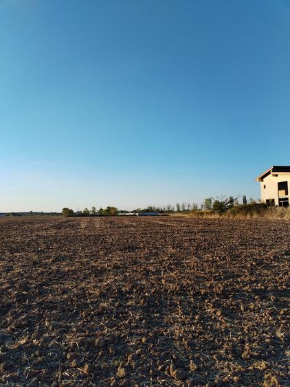 Ciolpani, spre Izvorani - COR, vanzare teren 5000mp.