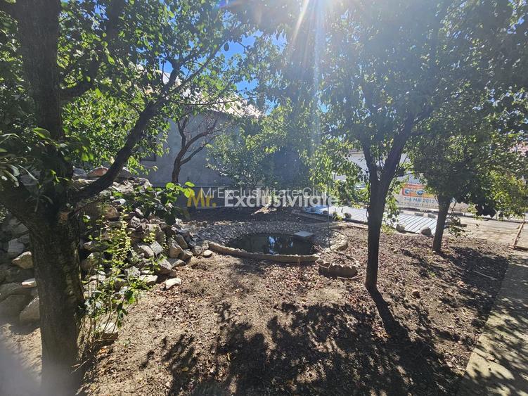 Vila generoasa cu piscina/pretabila centru rezidential privat-Turda - 8