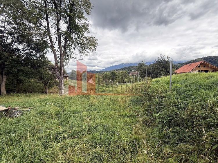 Teren de investiție în Moieciu, lângă Castelul Bran – 11.381 mp, vedere Bucegi