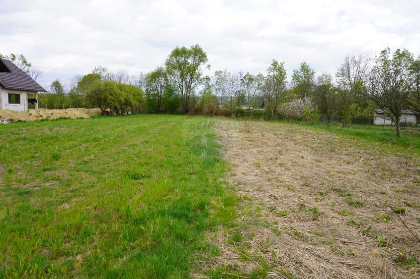 Teren Intravilan de 2.216 mp în Sarasău