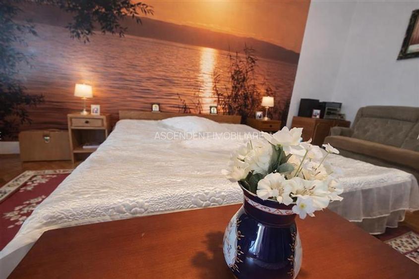 Poveste saseasca la umbra vitei de vie,cu crama,gradina flori,Central,Codlea - 5