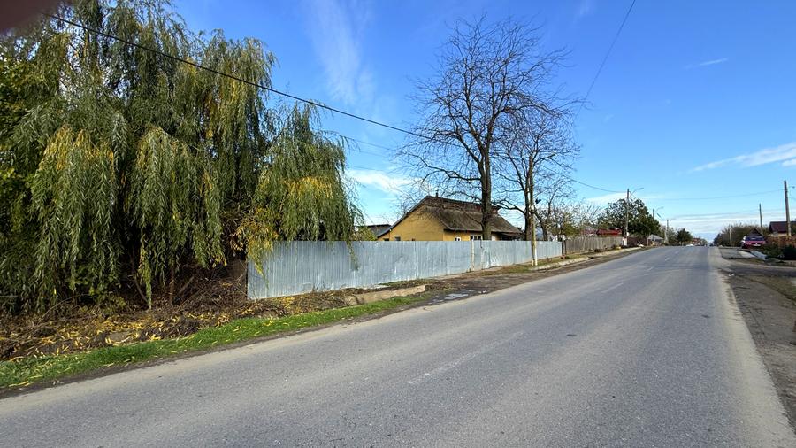 Făbrică de producție brânzeturi, Business funcțional, 25 de ani activitate