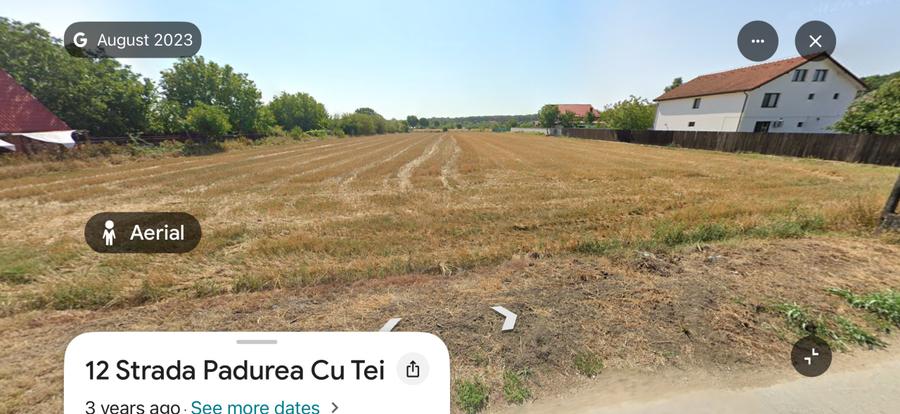 Oportunitate investiție teren intravilan Pădurea cu Tei