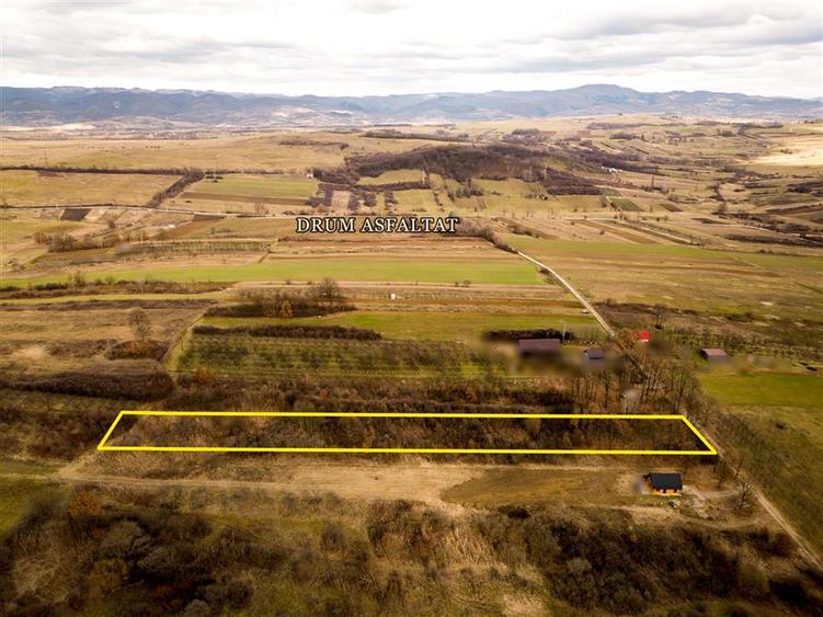 RECO Teren 5361 mp, Vadu Crișului, teren generos