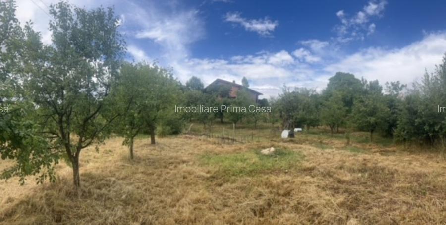 VILA P+M 150mp si bucatarie vara cu barbeque 30mp! - 7