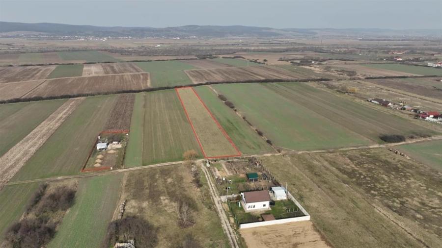 RECO Teren intravilan Osorhei