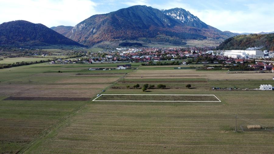 TEREN INTRAVILAN ZONA PENNY