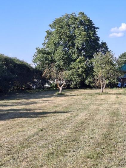 De vânzare: Casă bătrânească locuibilă imediat + 2200 mp teren  - 10