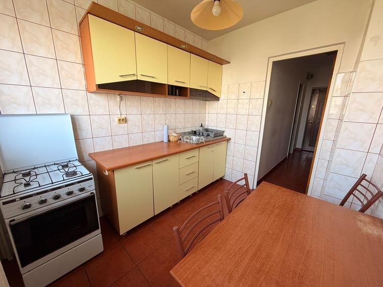 2 Camere Decomandat Vizavi Metrou Dristor Camil Ressu Park Lake - 11