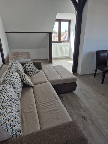 2 camere in vila dumbravita etaj 2