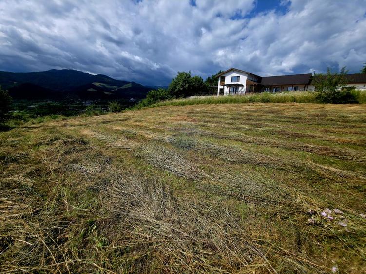 Teren 600mp Viisoara / Strada Primaverii