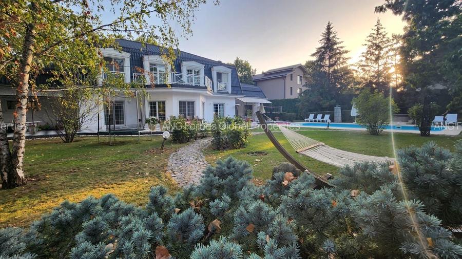 Vila individuala, teren 3000 mp, Iancu Nicolae - 28