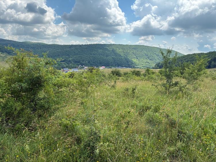 Vand teren in localitatea Salicea extravilan 974 MP