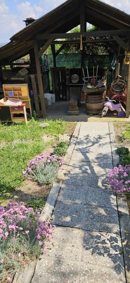 Casa 4 camere 126 mp utili, 700 mp teren, zona Viile Satu Mare - 11