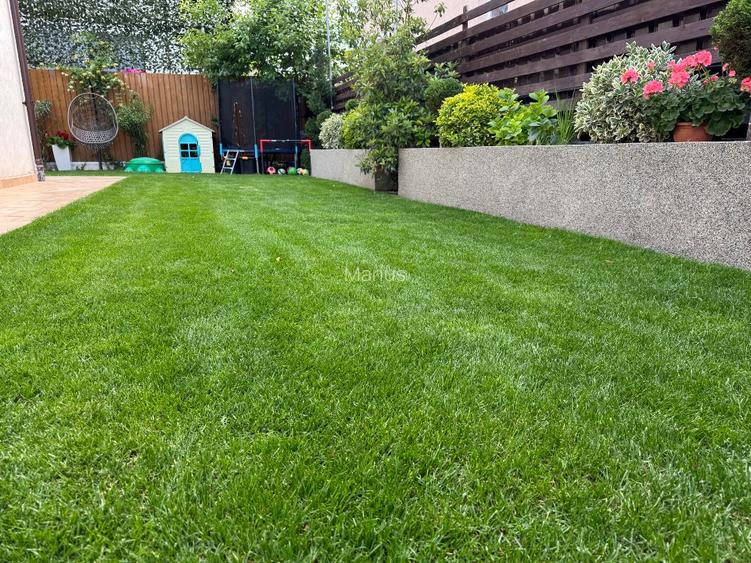 Vila 4 camere, 3 bai si curte amenajata in Chiajna, Proprietar - 14