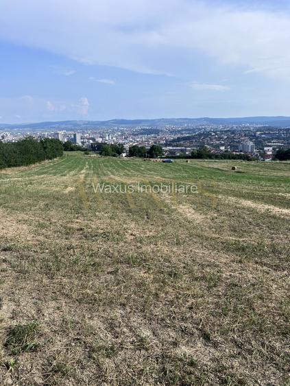 Oportunitate de investiție Teren intravilan, 3150 mp , Panoramic , Dambu Rotund - 5