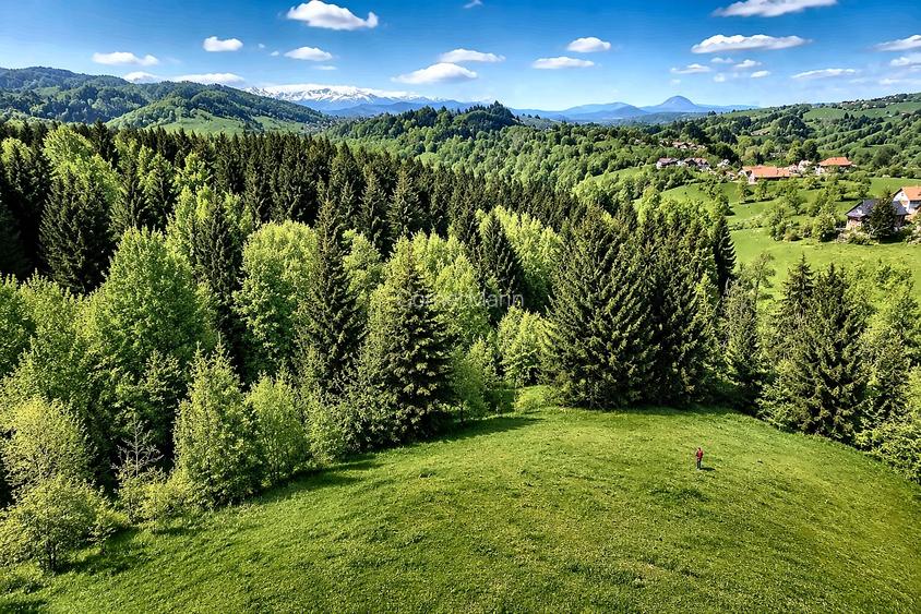  Bran Mountain Retreat, doar 3 case superbe la multe  - 7