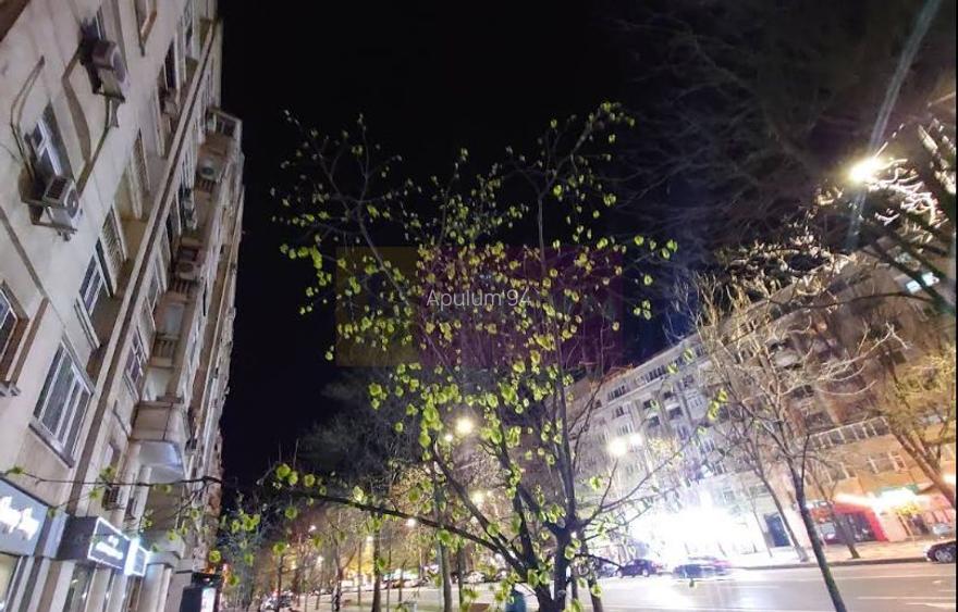 Vanzare apartament de 4 camere in zona bd Unirii-Casa Poporului - 4