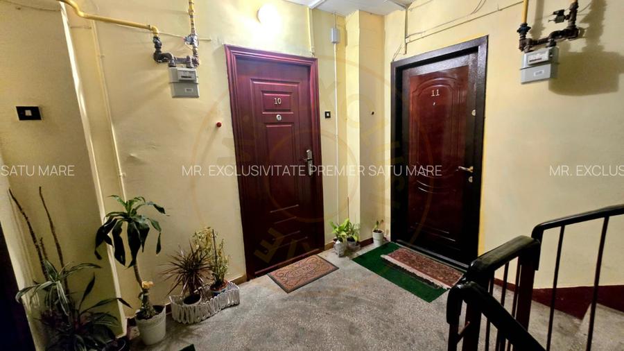 De vânzare Apartament 2 camere Alecu Russo Satu Mare - 9