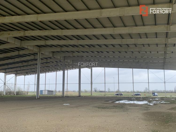 COMISION 0% Hala industriala 5500 mp utili zona de Nord Timisoara - ID V5143 - 7