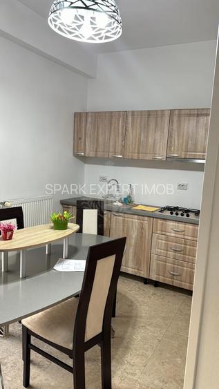 3 CAMERE // ZONA 9 MAI // PENTHOUSE// PET FRIENDLY - 2