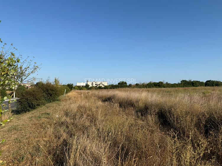 COSTINESTI - 500 MP x 2 LOTURI - INTRAVILAN - 14