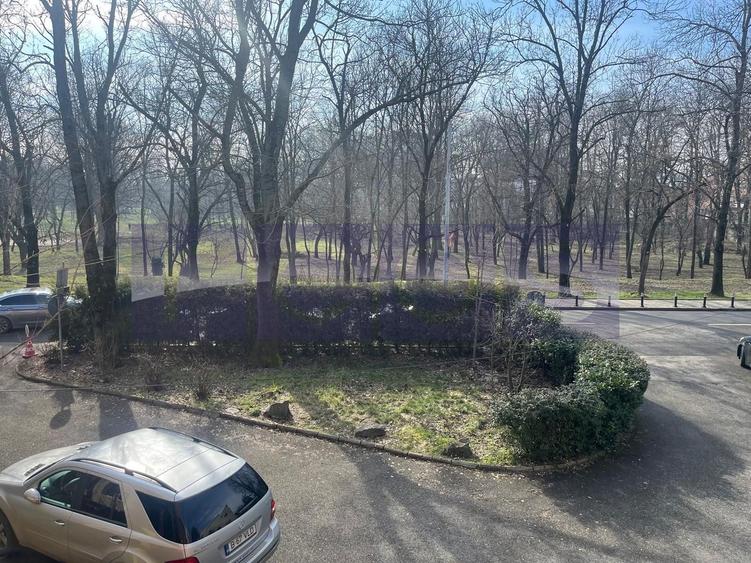 INCHIRIERE VILA | VEDERE PARCUL VERDI | 240MP | CURTE | PARCARE | LUX - 36