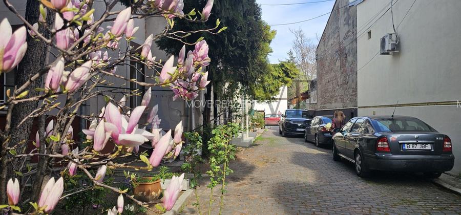 Spatiu pentru afacerea ta situat la parterul unei vile- Caderea Bastiliei - 18