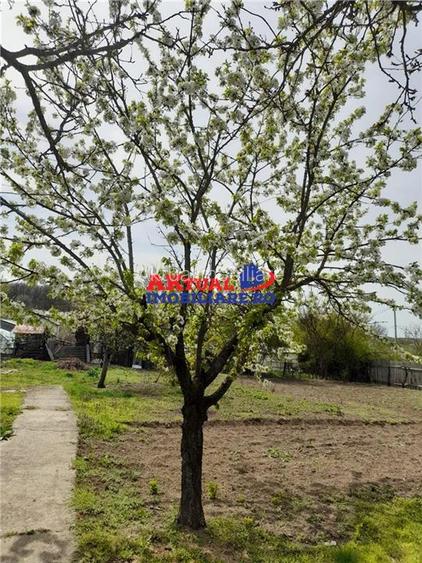 Vanzare Casa cu Teren 1200mp in Com.Mihai Bravu-Giurgiu - 7