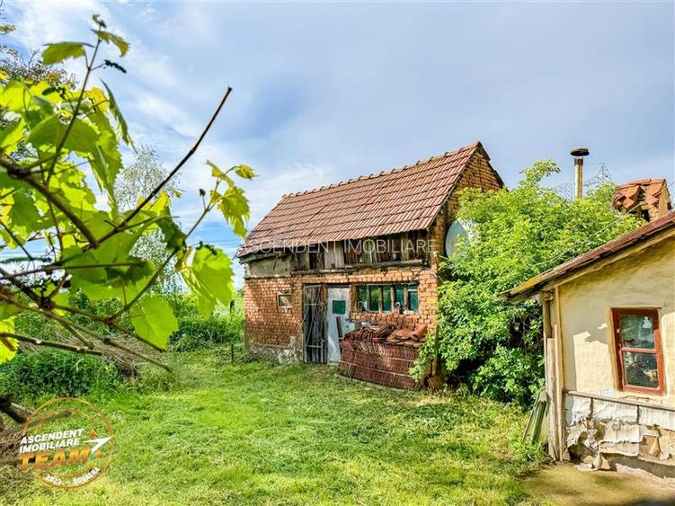 Refugiu cu farmec rustic cu:spatii auxiliare si 1.500 mp teren,Santionlunca,Cova - 8