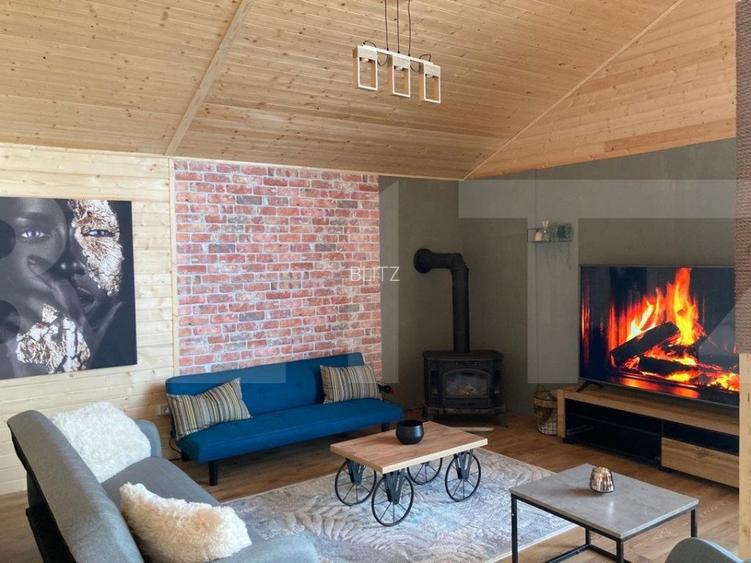 Proprietate deosebita, cabana in stil scandinav, 250 mp utili, Belis - 8