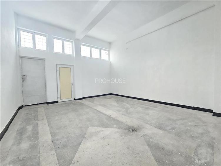 Spatiu Comercial, 250mp, Narcisa-ONIX - 9