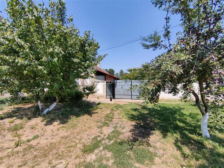 Casa cu 2 camere si anexe in Simand cu teren de 1465 mp - 12