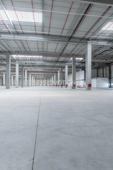 Spațiu industrial, 249500 mp în Chitila - 5