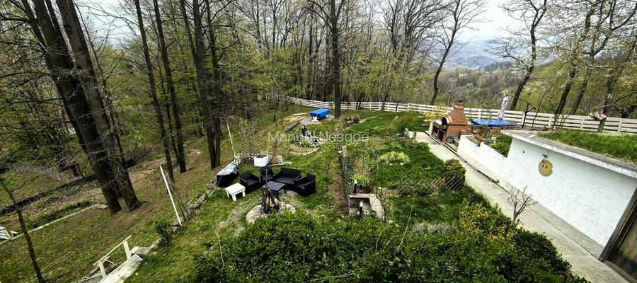 Proprietate Breaza de vis , zona de vis , prezentarea agentului , de vis - 29