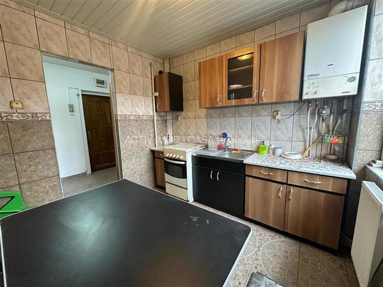 Resita, Apt. 3 cam.cf.1, semidec, Lunca - 8