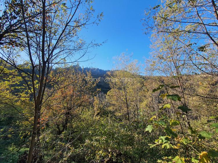 Teren Brasov – str. Podul lui Grid  zona de case - 4